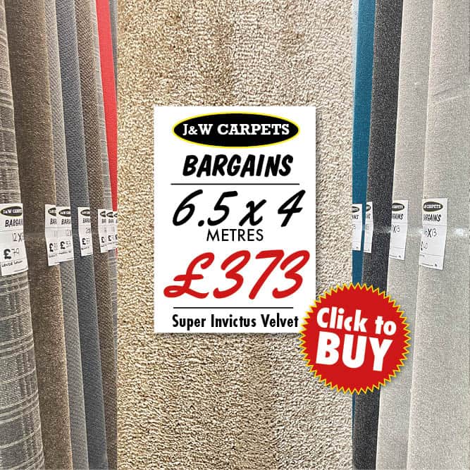 Super Invictus Velvet – 6.5x4m