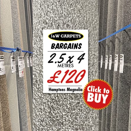 Hamptons Magnolia – 2.5x4m – Carpet Roll End
