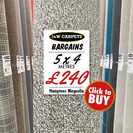 Hamptons Magnolia – 5x4m – Carpet Roll End