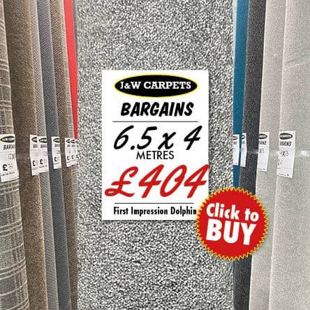 First Impression Dolphin – 6.5x4m – Carpet Roll End