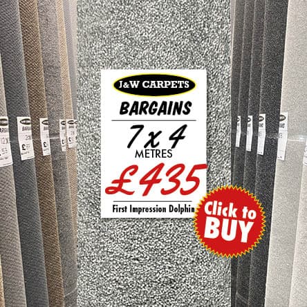 First Impression Dolphin – 7x4m – Carpet Roll End