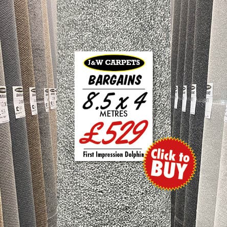 First Impression Dolphin – 8.5x4m – Carpet Roll End