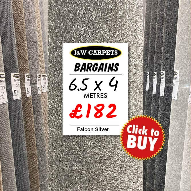Falcon Silver – 6.5x4m