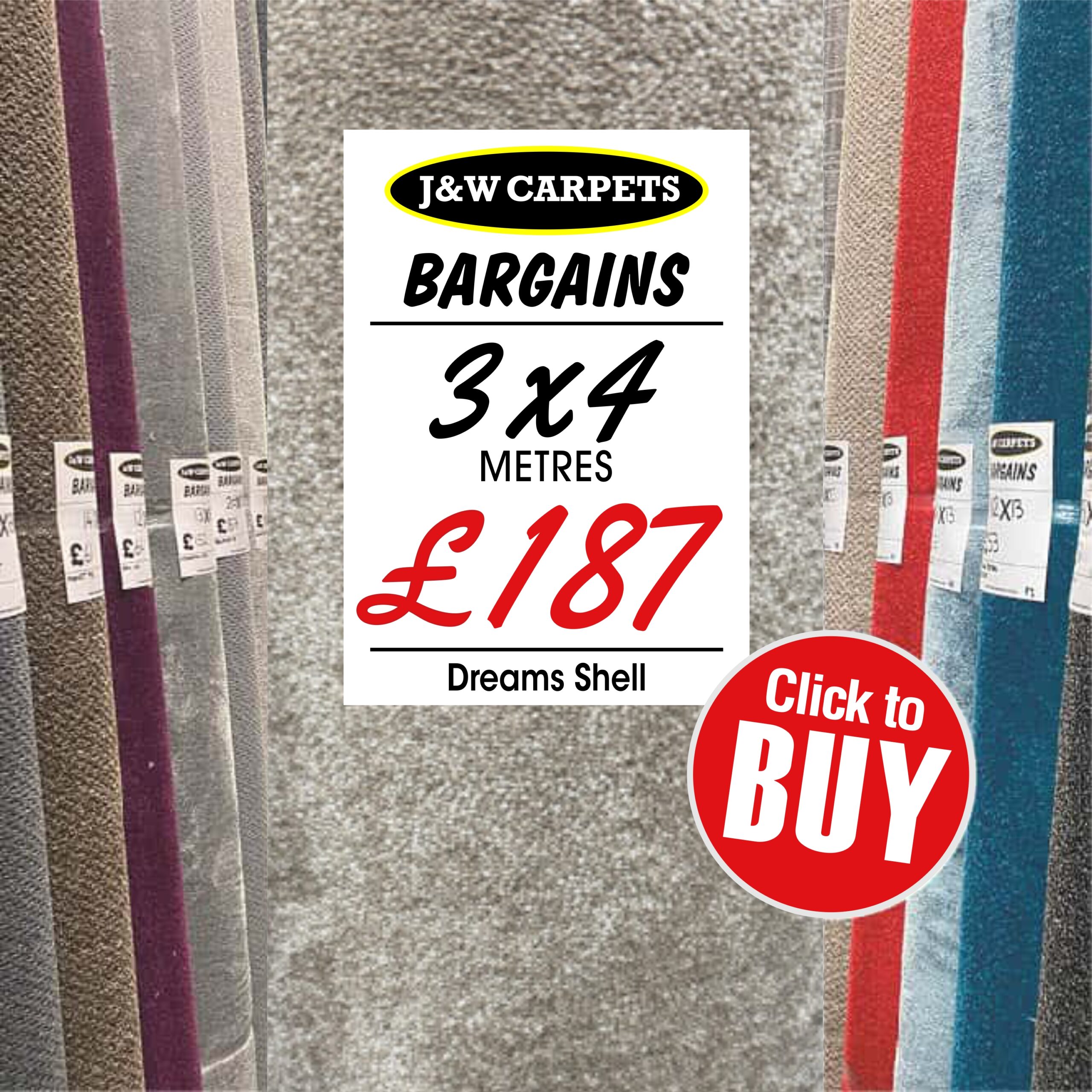 Dreams Shell – 3x4m – Carpet Roll End